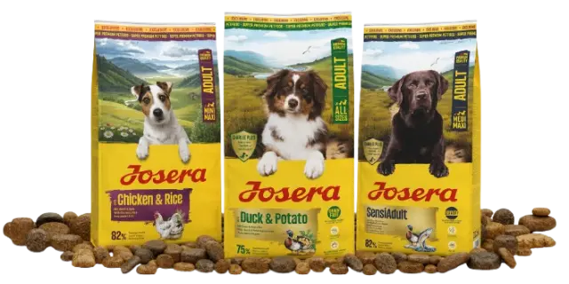 Dry Food
